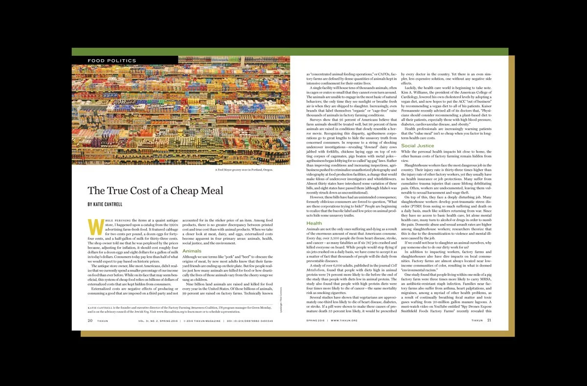 Tikkun Magazine image 3