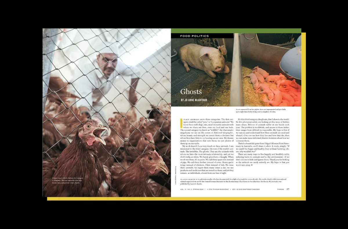 Tikkun Magazine image 2