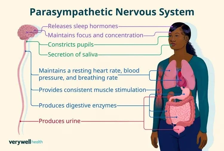 Verywell Health image 4