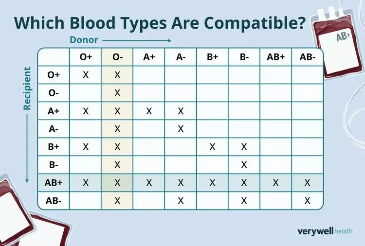 Verywell Health image 7